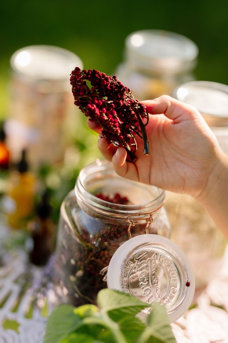 Sumac berries going into an apothecary jar